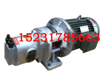 DHB點(diǎn)火泵56-56